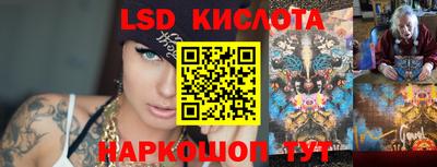 прущие грибы Ярославль