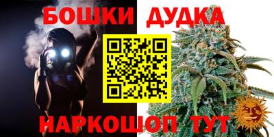 прущие грибы Ярославль