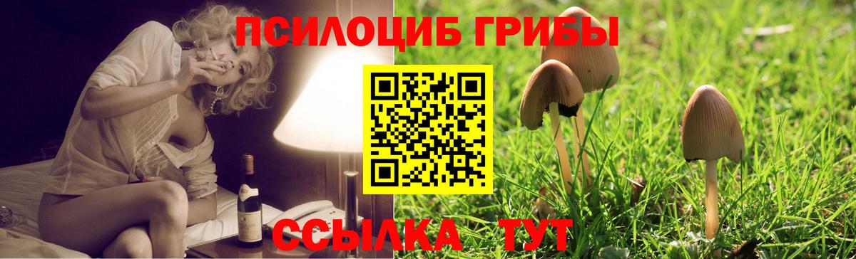Галлюциногенные грибы ЛСД  Вход с VPN  купить наркотик  Ахтубинск 