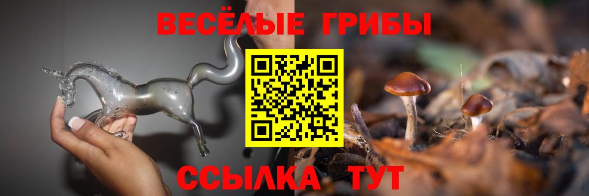 Псилоцибиновые грибы ЛСД Ахтубинск